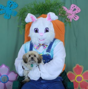 easter bunny holding a dog