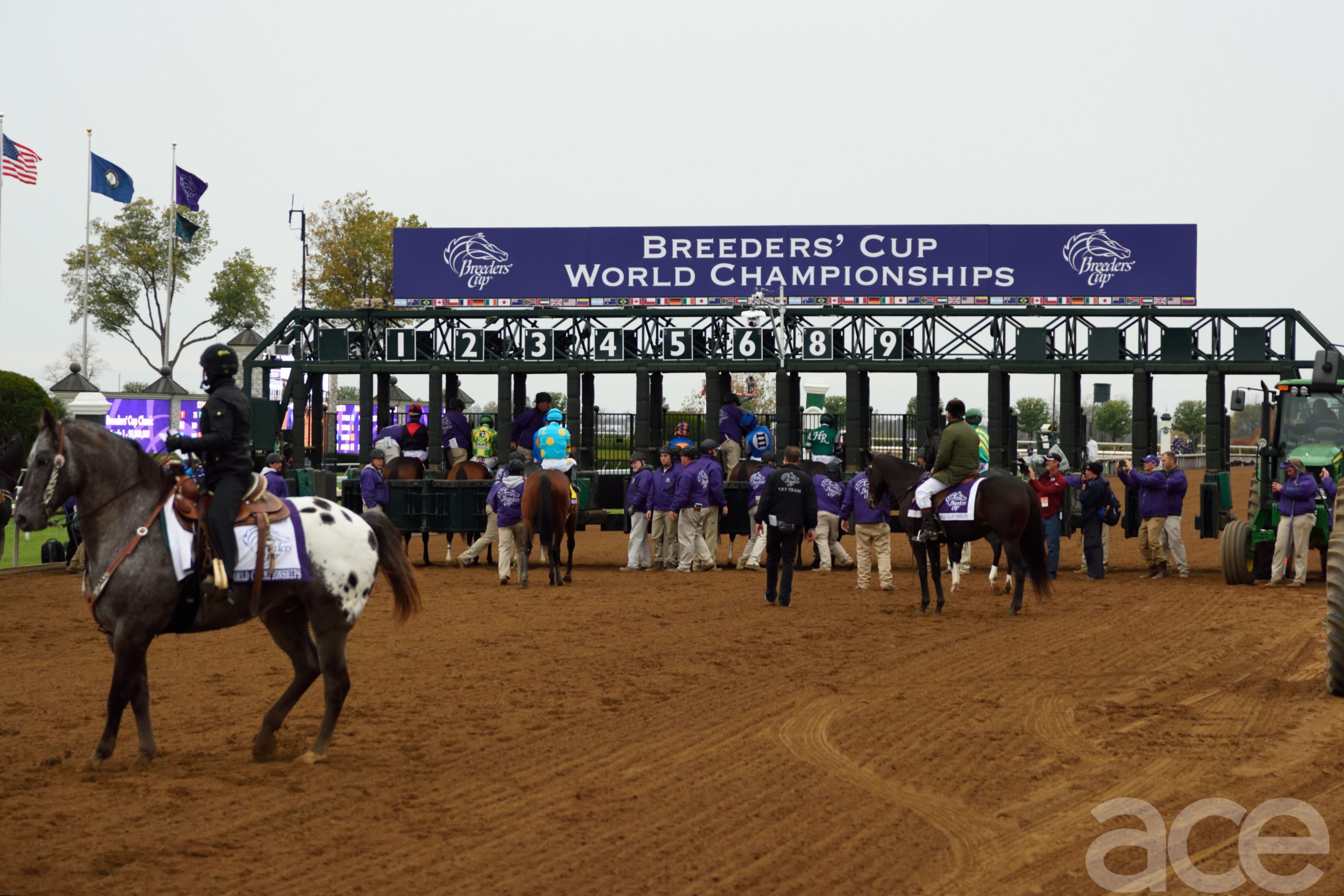 Keeneland Schedule 2022 The Breeders' Cup Comes To Keeneland In 2020 And 2022 | Ace Weekly